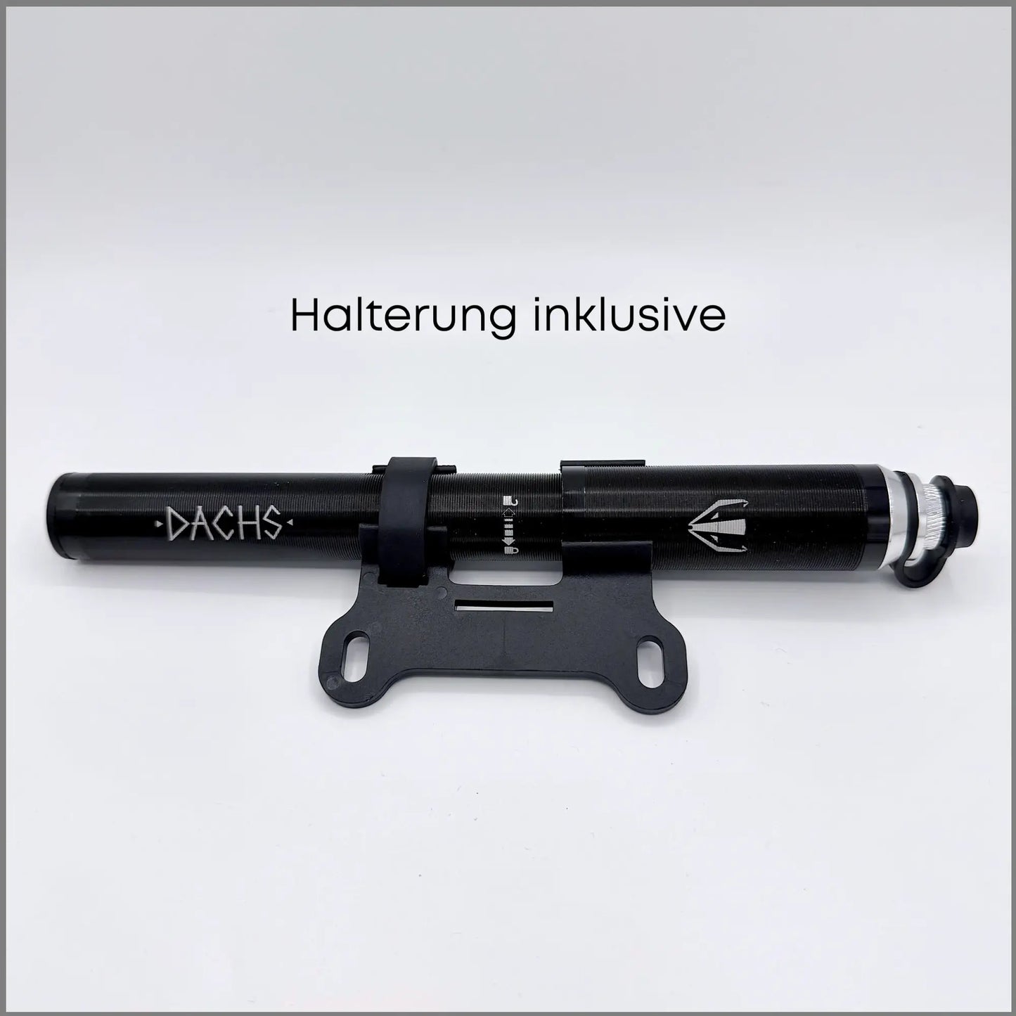 DACHS Handpumpe mit Manometer